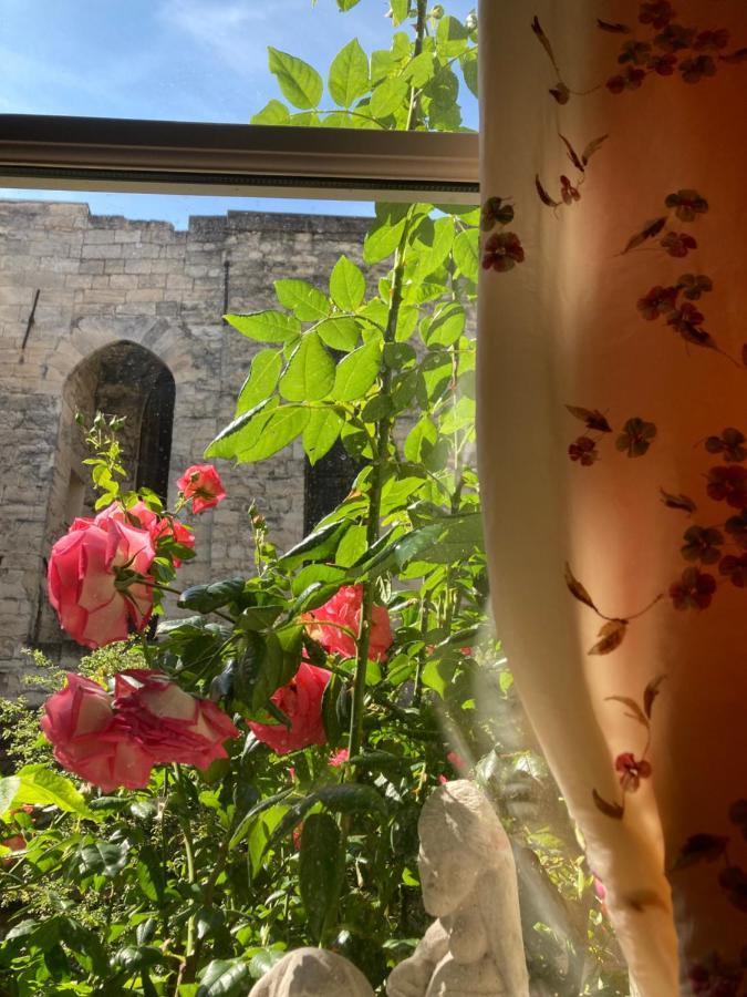 Cocooning Avignon Hotel Bagian luar foto